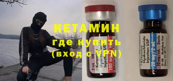 шишки Богородицк