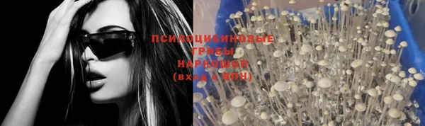 шишки Богородицк
