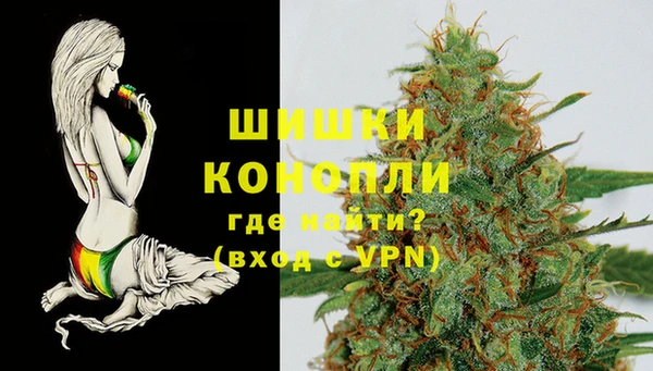 шишки Богородицк