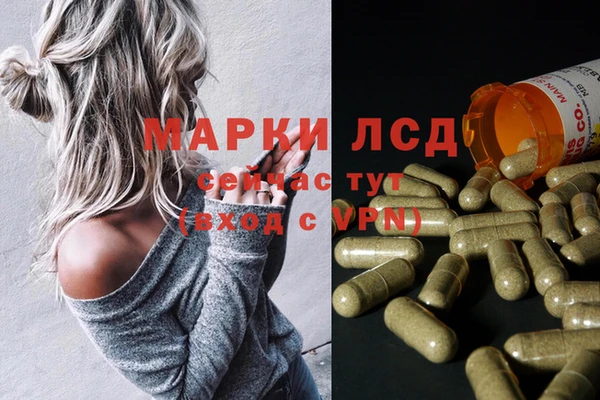 шишки Богородицк