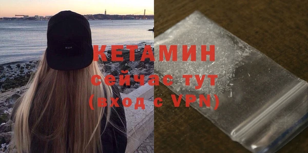 шишки Богородицк