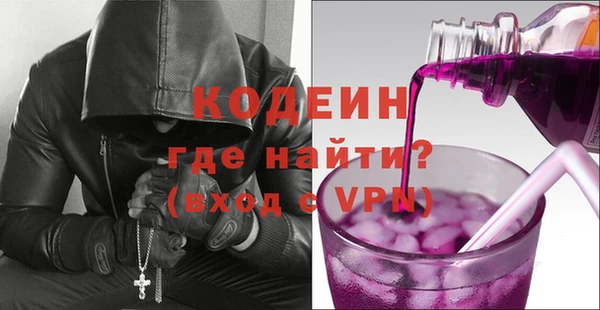 шишки Богородицк