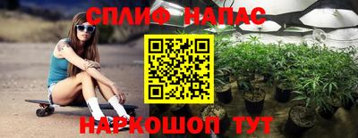 СК Славгород