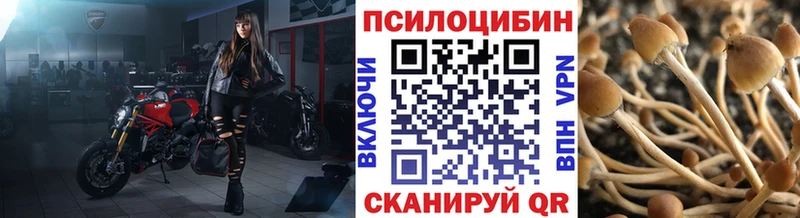 мориарти клад  Среднеуральск  Псилоцибиновые грибы Psilocybine cubensis  купить наркотик 