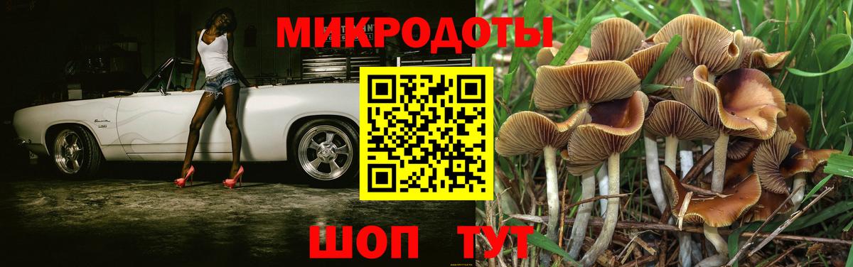 Псилоцибиновые грибы ЛСД  Вход с VPN  Среднеуральск 