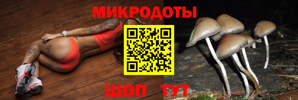 Псилоцибиновые грибы Cubensis Среднеуральск